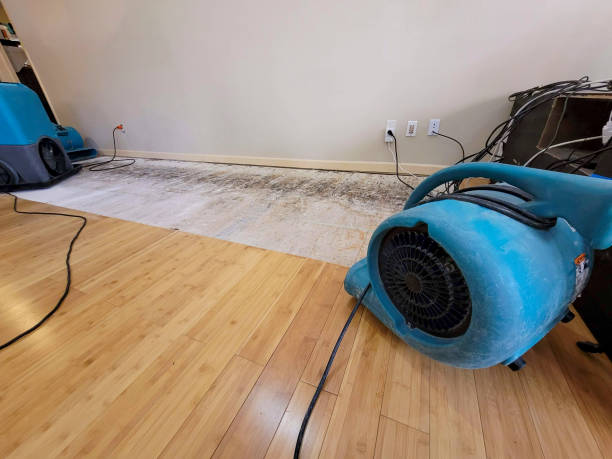 Professional Flood Damage Cleanup technician working in Wilmont, MN